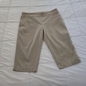 Terra & Sky Women's Khaki Capris